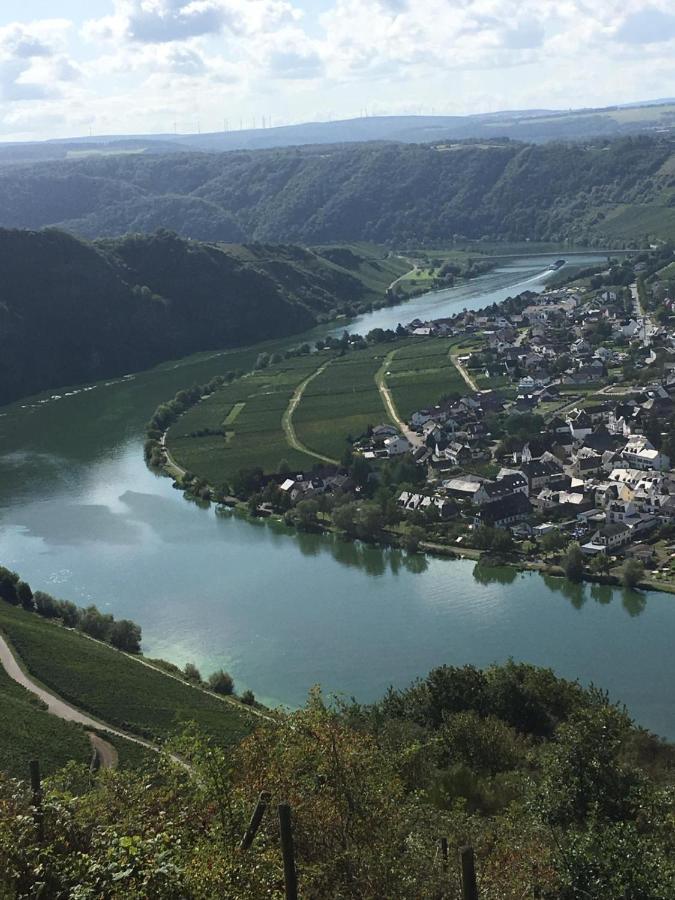 Eifel-Moezelhuis Bergweiler 外观 照片